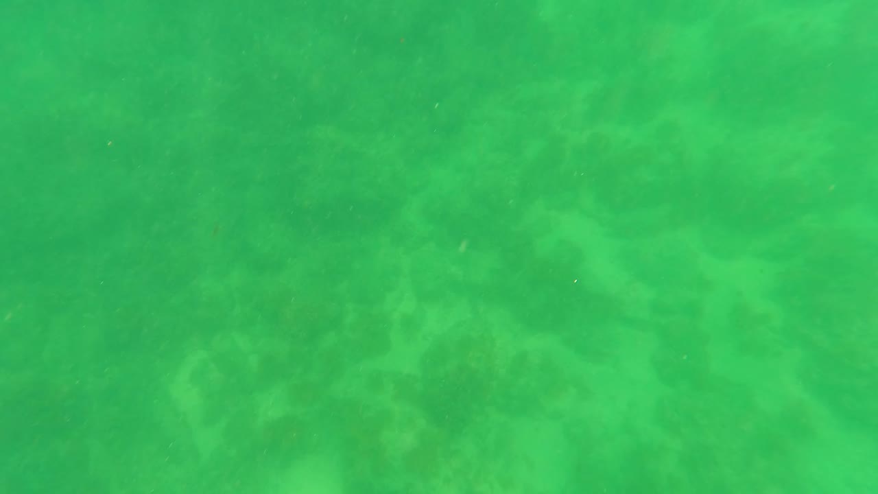 Green underwater frame from San Jose Del Cabo showing muted rocky seabed contours under clear water, with no fish, boats, or visible people.