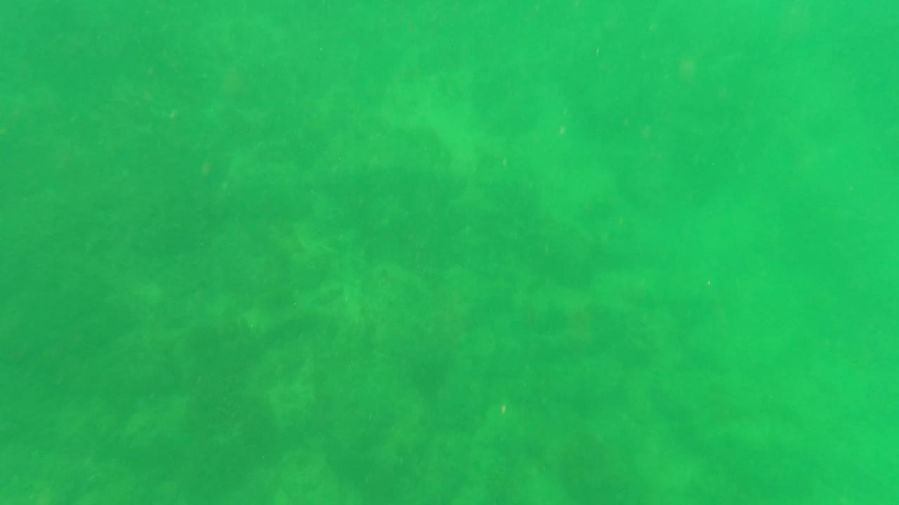 Green-tinted underwater frame in San Jose Del Cabo with faint rocky seabed visible through the water and no visible people.