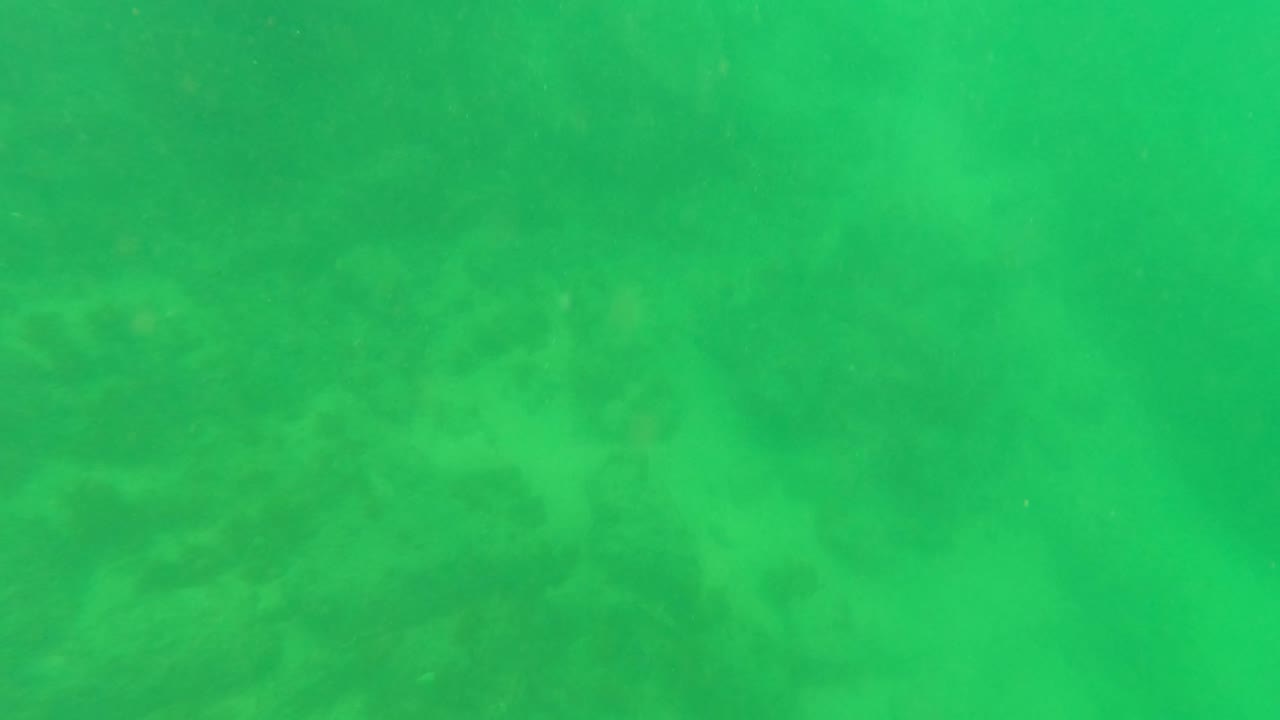 Underwater view in San Jose Del Cabo with open green water filling most of the frame and the rocky ocean floor faintly visible below, with no visible people.