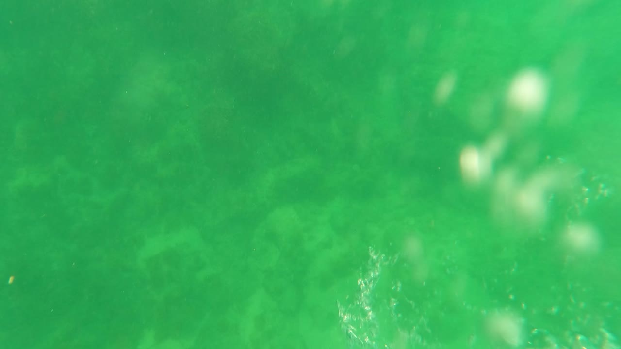 Green underwater frame from San Jose Del Cabo showing a clearer patch of rocky seabed beneath the water, with no visible people.