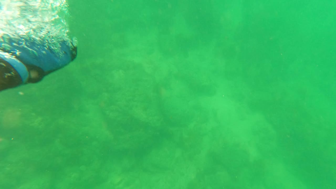 Diver arm at frame edge with bubbles underwater