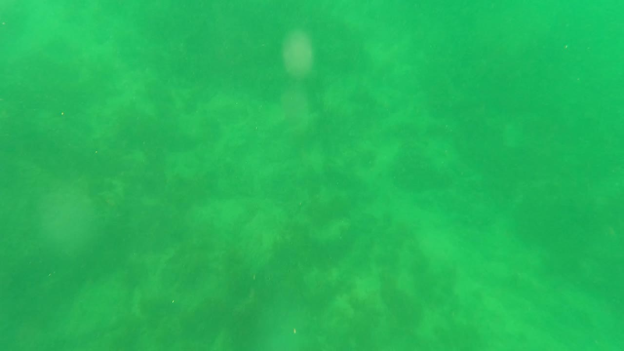Diffuse green water in San Jose del Cabo with subtle seabed shapes below the camera and no visible people.