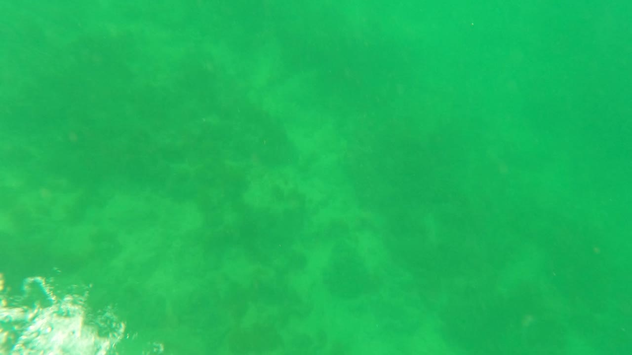Brighter green underwater frame in San Jose del Cabo with soft seabed detail still visible and no visible people.