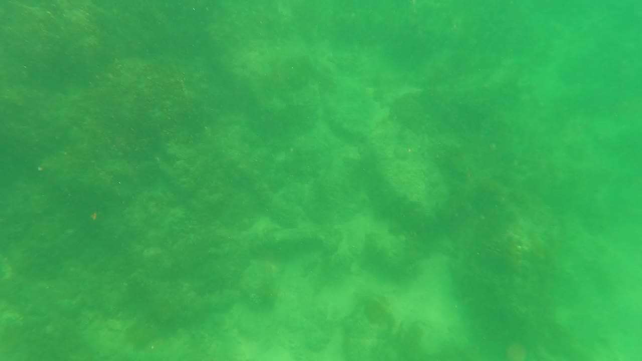 Green underwater view of rocky seabed