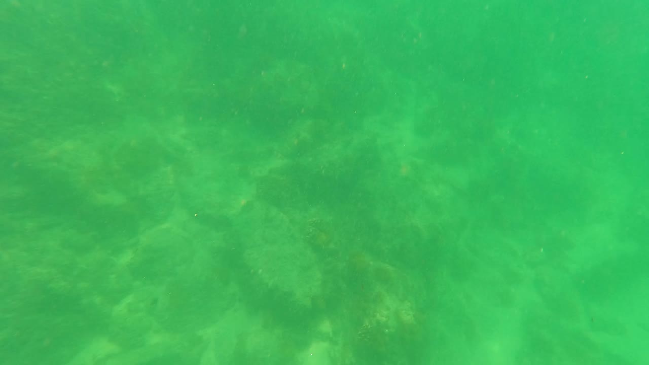 Cloudy green water covers the rocky seabed in San Jose del Cabo, Baja California Sur, with no visible people and faint seabed texture below.