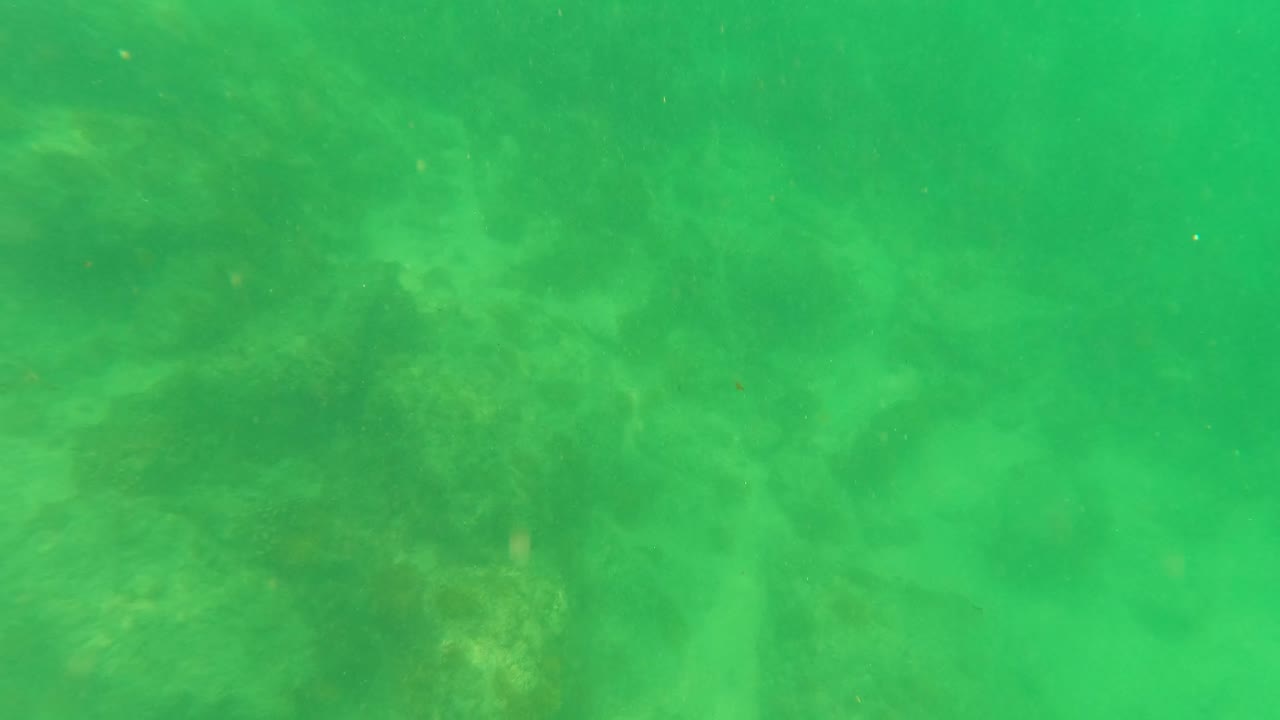 A green underwater frame in San Jose del Cabo, Baja California Sur shows faint rocky shapes beneath the water, with no visible people.
