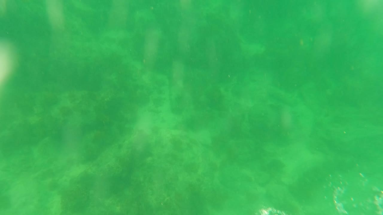 A bright splash and bubbles begin to enter the green underwater frame over the rocky seabed in San Jose del Cabo, Baja California Sur, with no visible people.