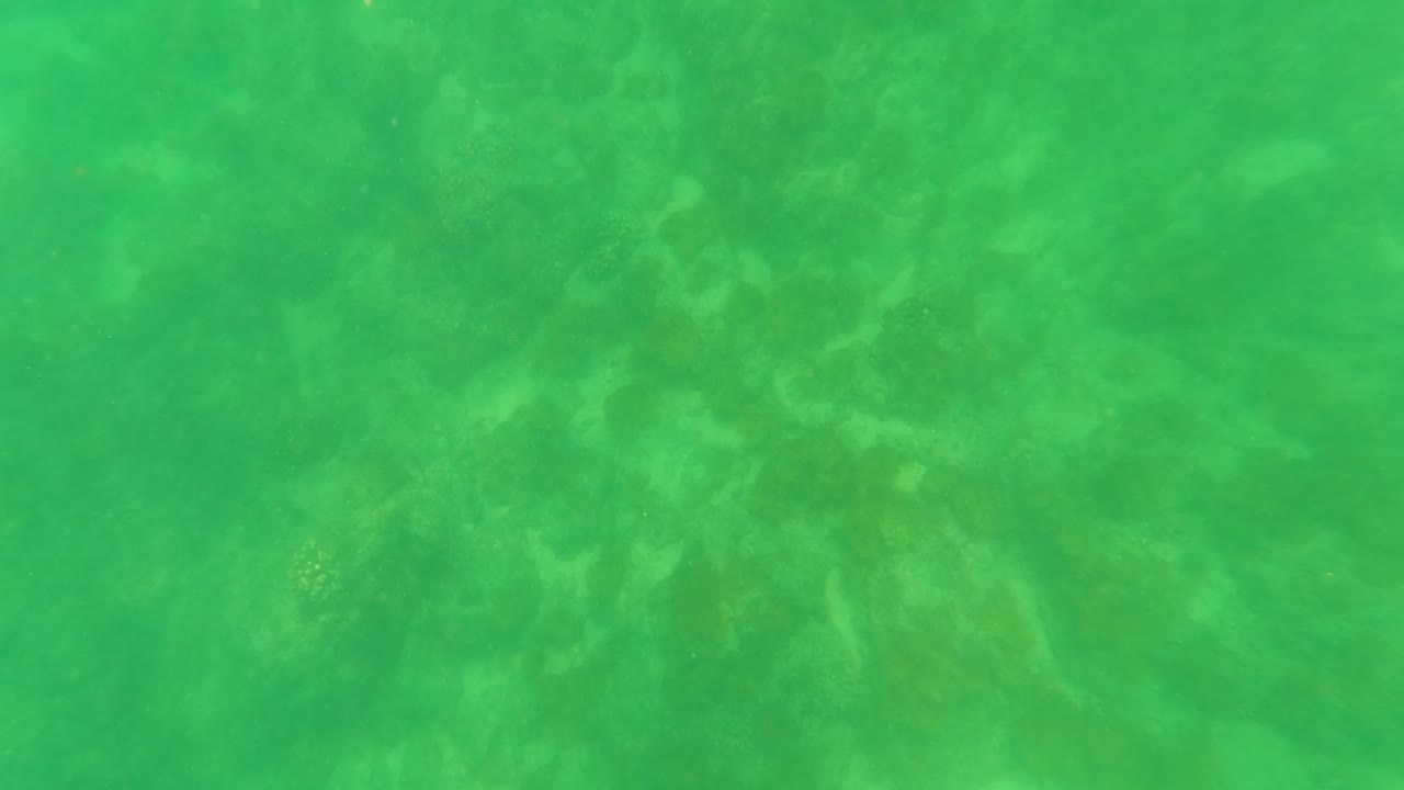 Opening underwater frame from San Jose del Cabo showing green water over a sandy seabed with soft dappled light and no visible people.