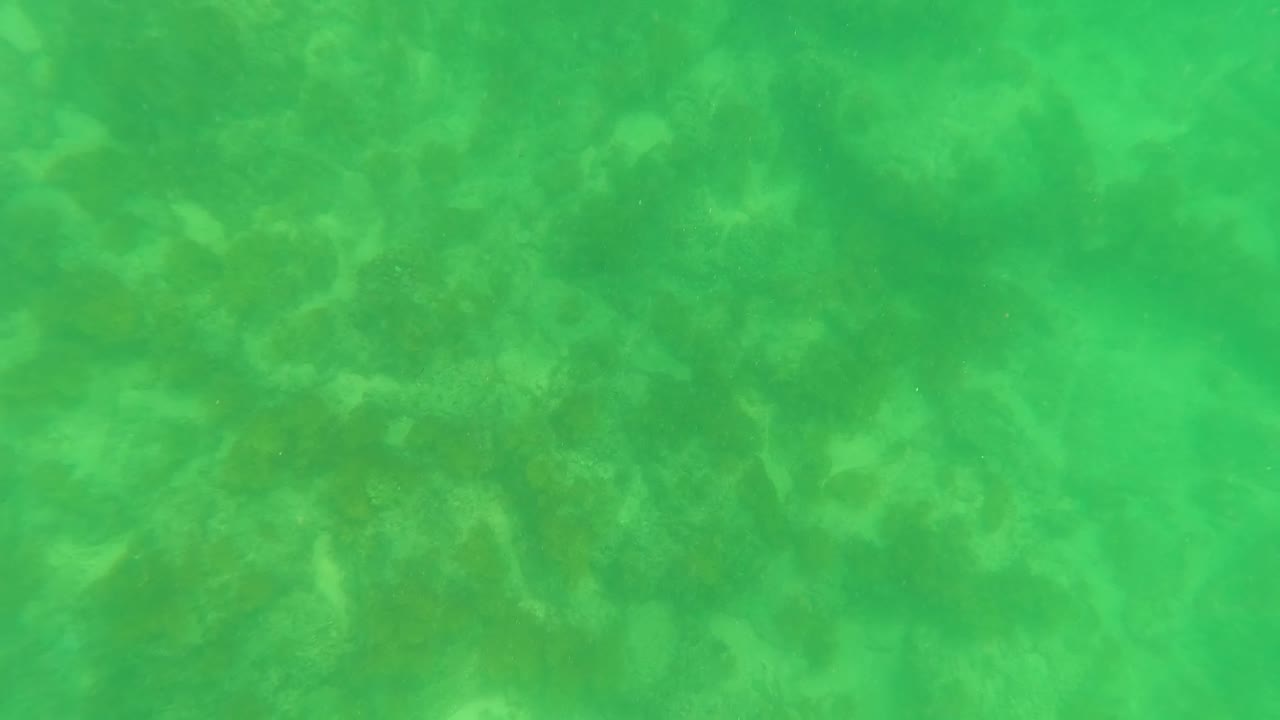 At 0:01, the San Jose del Cabo underwater view shows a sandy ocean floor beneath green water with mottled sunlight and no visible people.