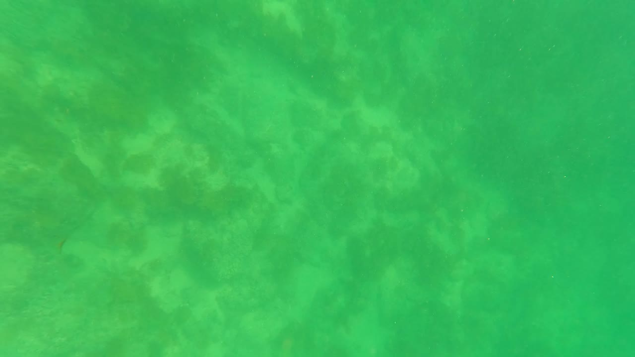 At 0:02, pale dappled light spreads across the sandy seabed in green underwater water near San Jose del Cabo, with no visible people.