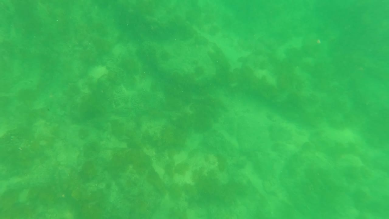 At 0:03, the underwater seabed remains empty, with green water, faint darker patches on the sandy bottom, and no visible people.