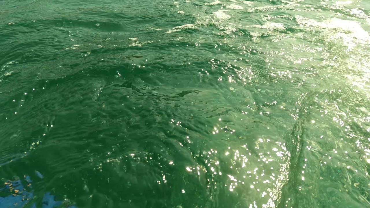 Sunlit ripples across green ocean surface
