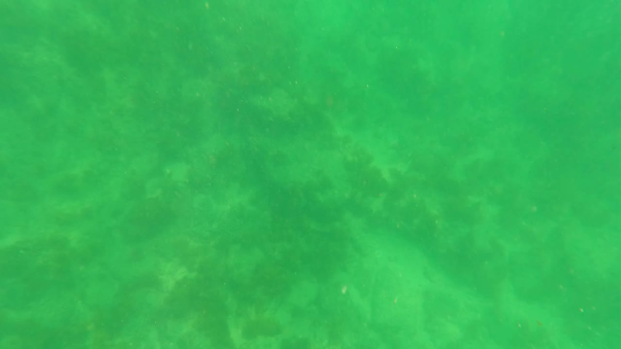 Green underwater frame from San Jose del Cabo with faint seabed forms under diffuse light and no visible people.