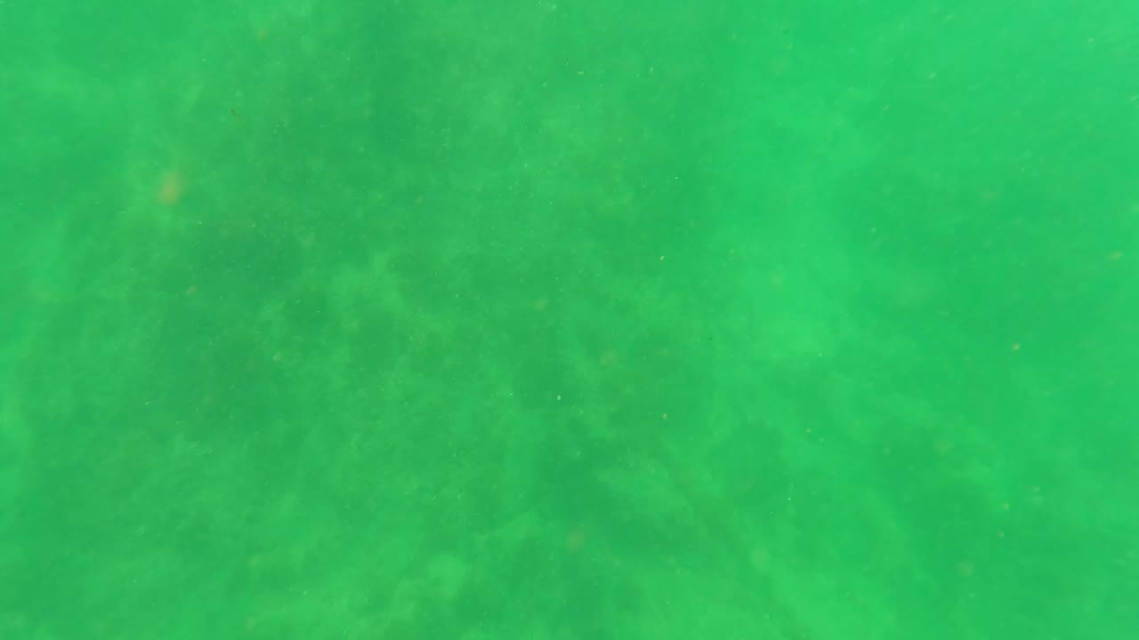 San Jose del Cabo underwater view with green water, darker blurred areas on the ocean floor, and no visible people.