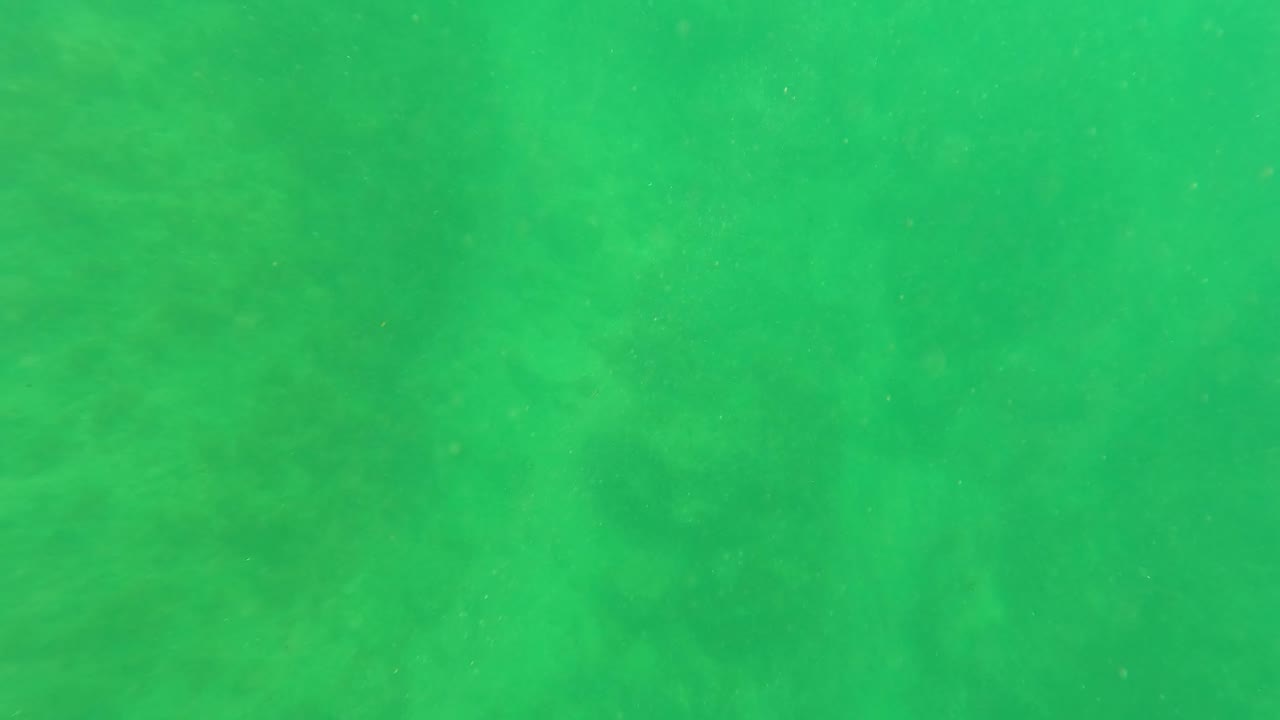 Hazy green underwater frame in San Jose del Cabo with a soft seabed plane and no visible people or objects.