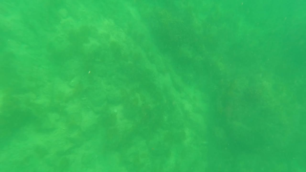 Green underwater view of rocky and sandy seabed