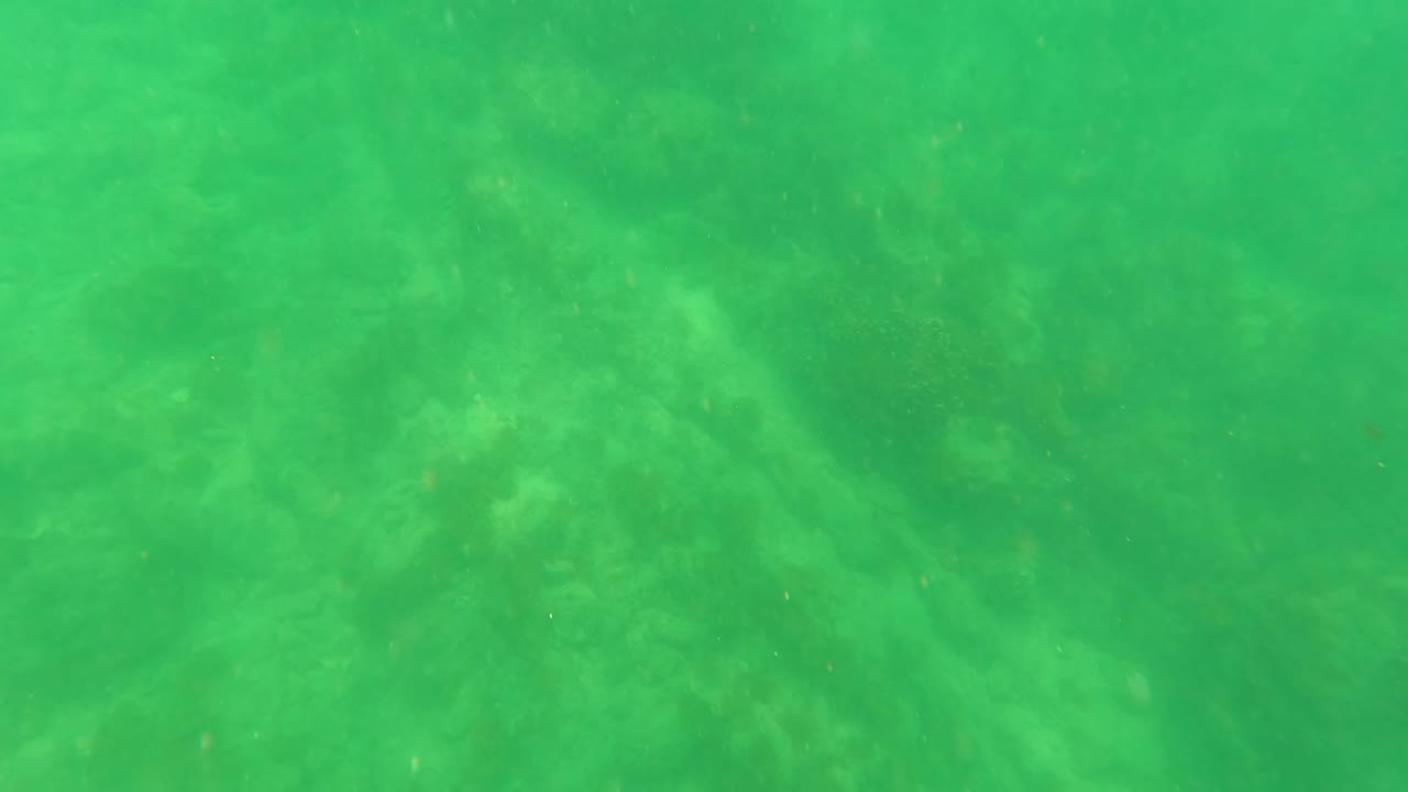 Underwater frame from San Jose Del Cabo with green-tinted water, pale seabed patches, darker rock shapes, and no visible people.