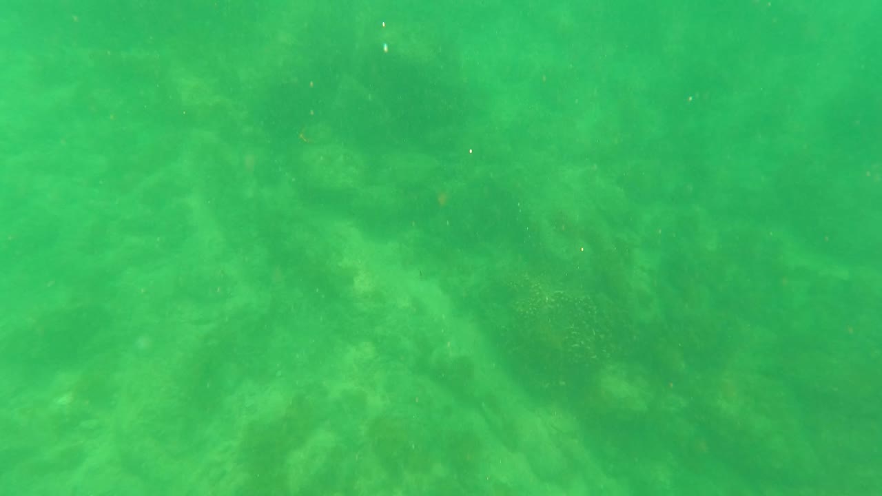 Mid-clip underwater view from San Jose Del Cabo showing a soft green water column over uneven rock and sand, with no visible people.