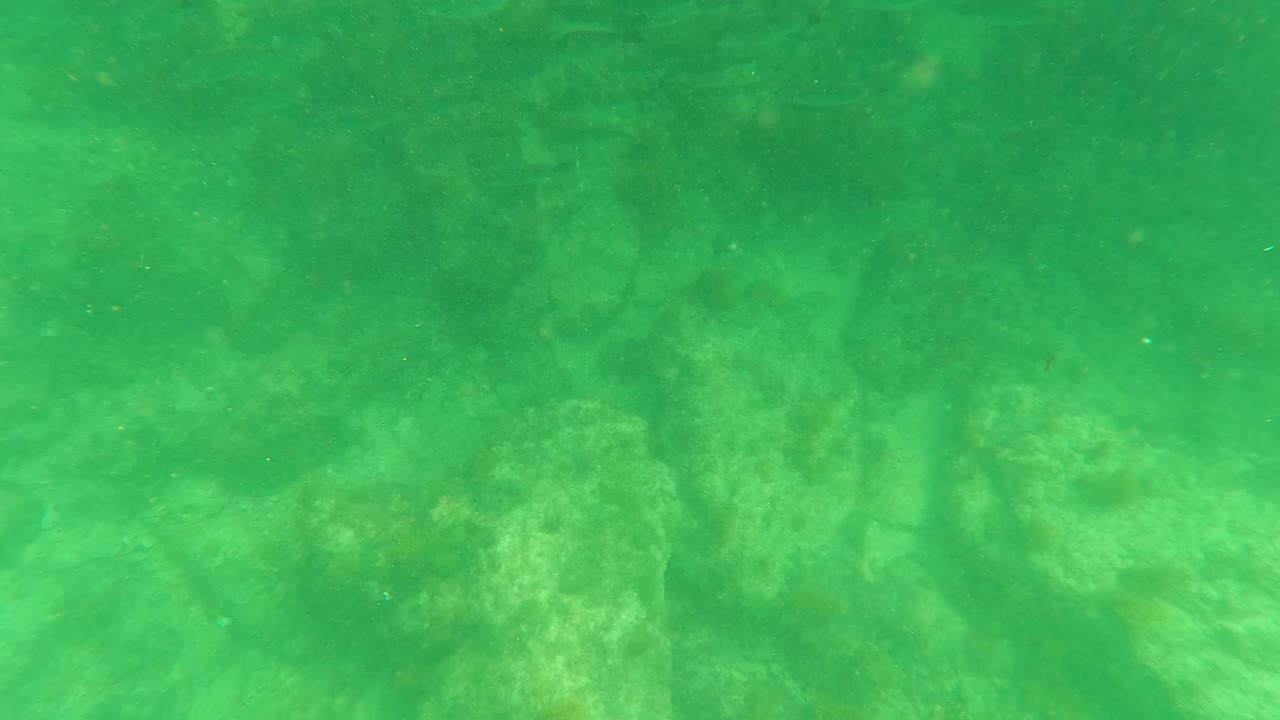 Early frame in San Jose del Cabo with blue gloved hands entering from the upper right above green water, rocks, and faint fish, with no visible faces.