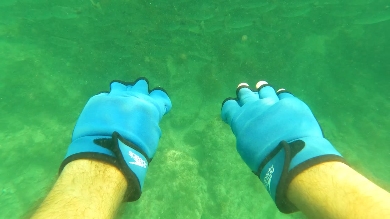San Jose del Cabo underwater frame with one blue gloved hand prominent on the left, green water around it, and fish over the rocky seabed below.