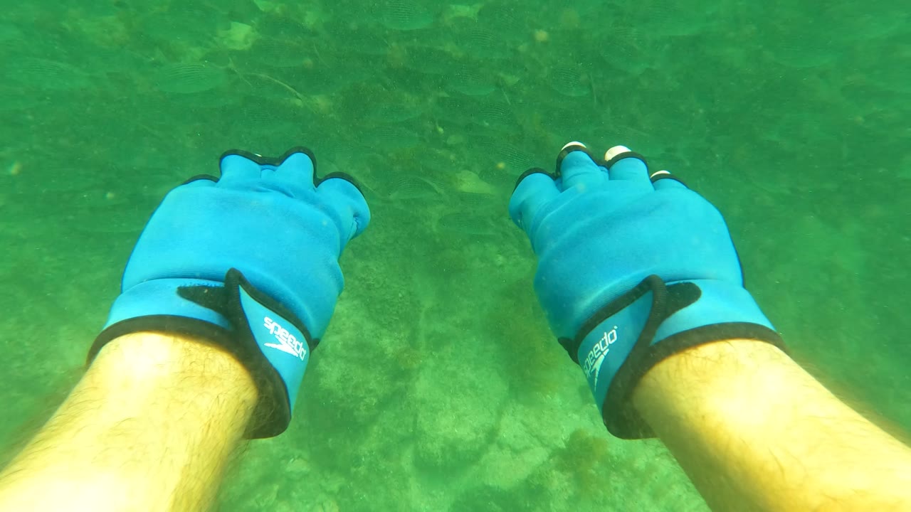 Blue gloved hand and forearm centered over underwater rocks and fish.