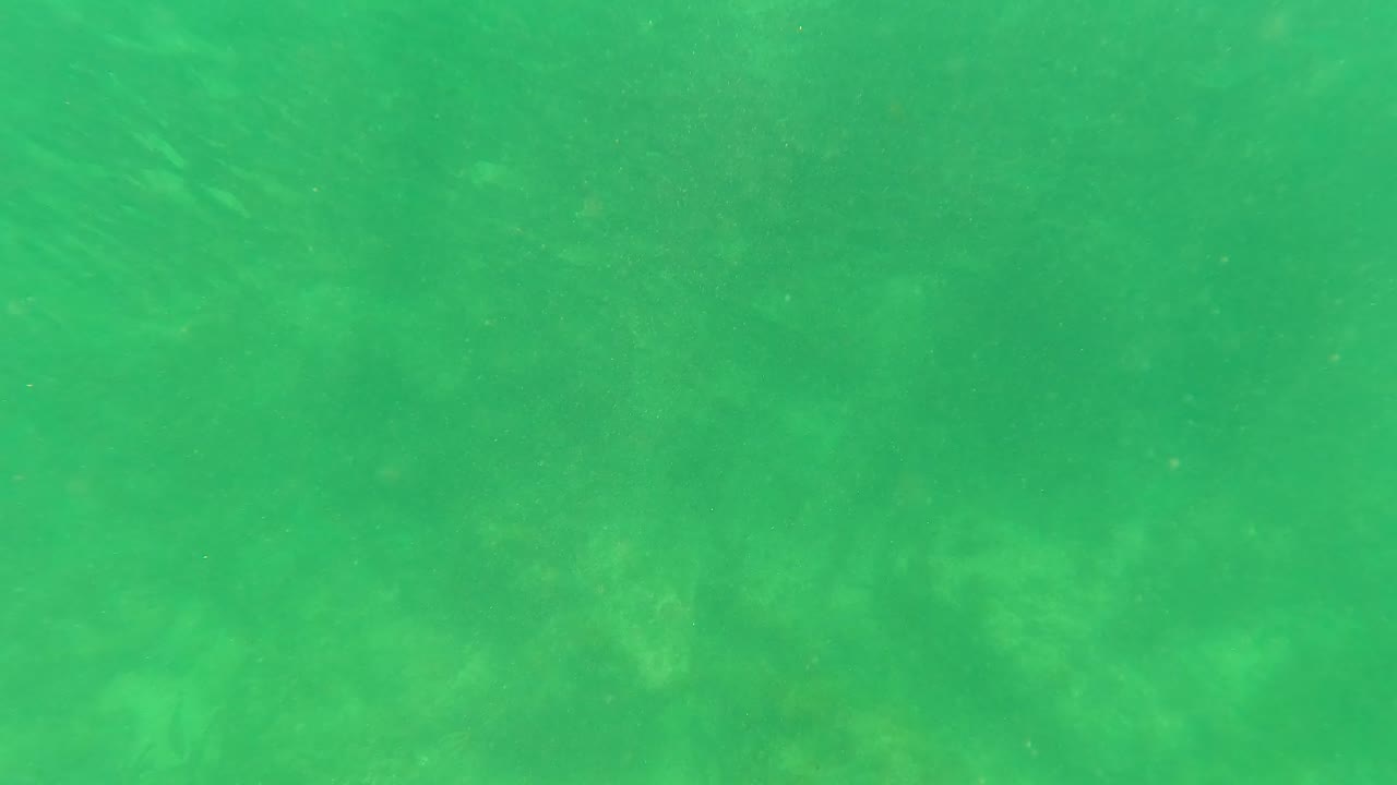 Hazy green underwater frame from San Jose del Cabo, Mexico, with faint rocks and sandy seabed visible through the water and no visible people.