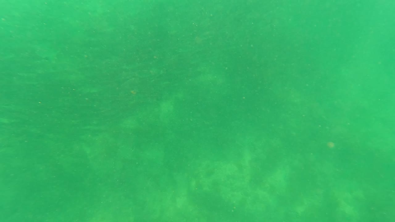 Green underwater view from San Jose del Cabo, Mexico, where the rocky seabed is softened by haze and no visible people appear in the frame.