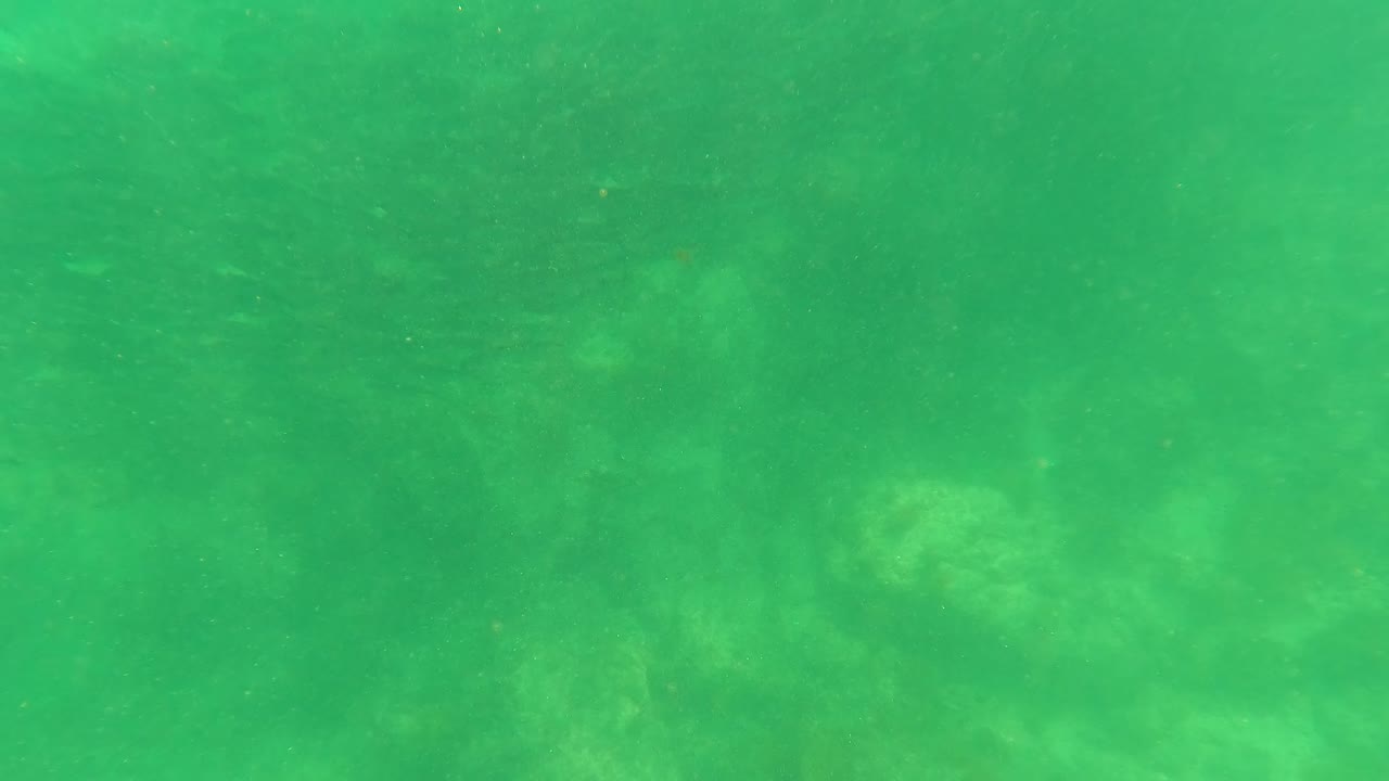 Underwater San Jose del Cabo frame with green water, faint seabed texture, and a small blue object or fish-like shape near the lower center, with no visible people.