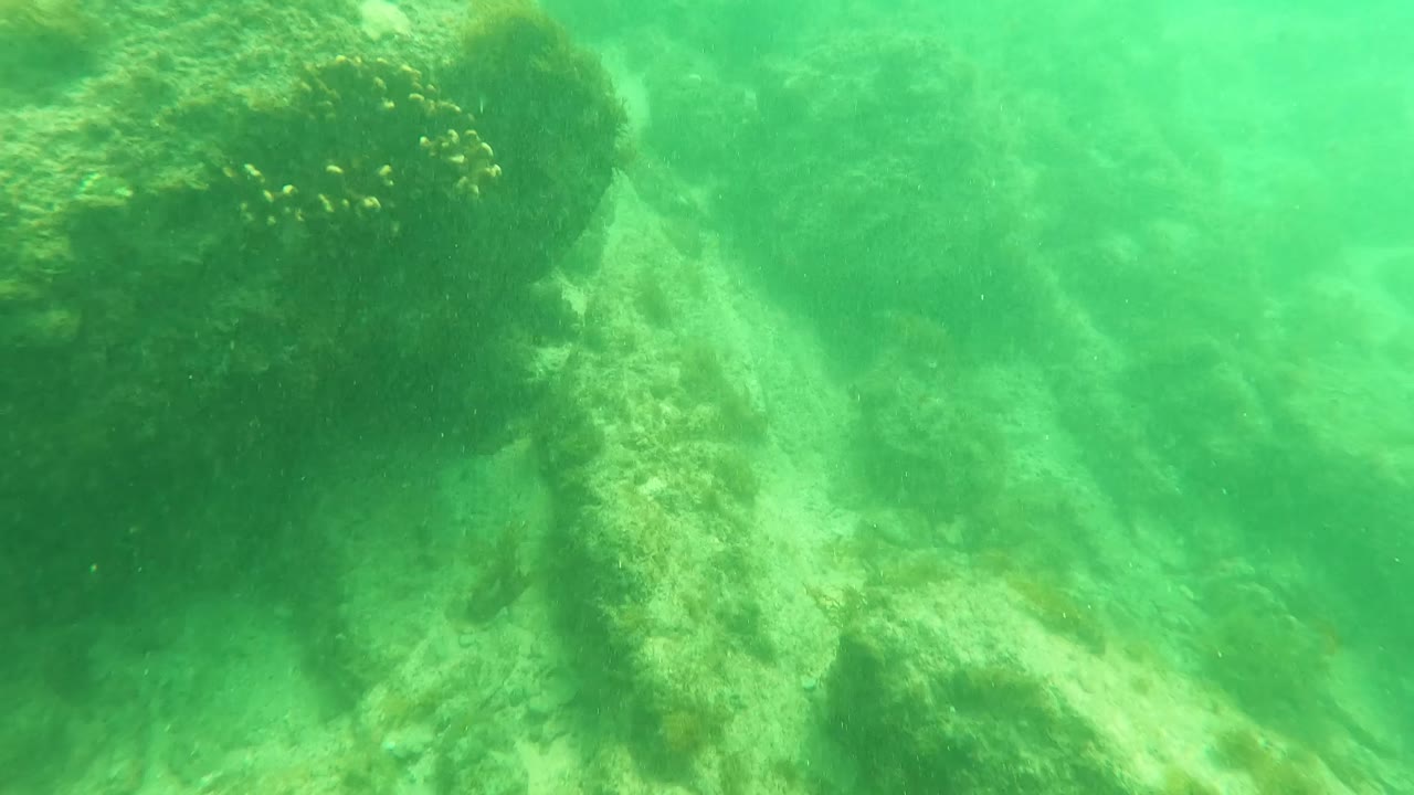 Underwater rocks and marine growth fading into green water.