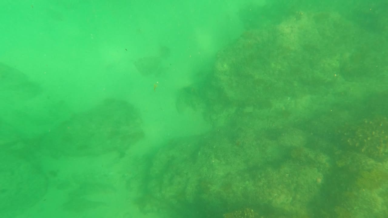 Green underwater view in San Jose Del Cabo with rocky seabed forms, suspended particles, faint small fish, and no visible people.