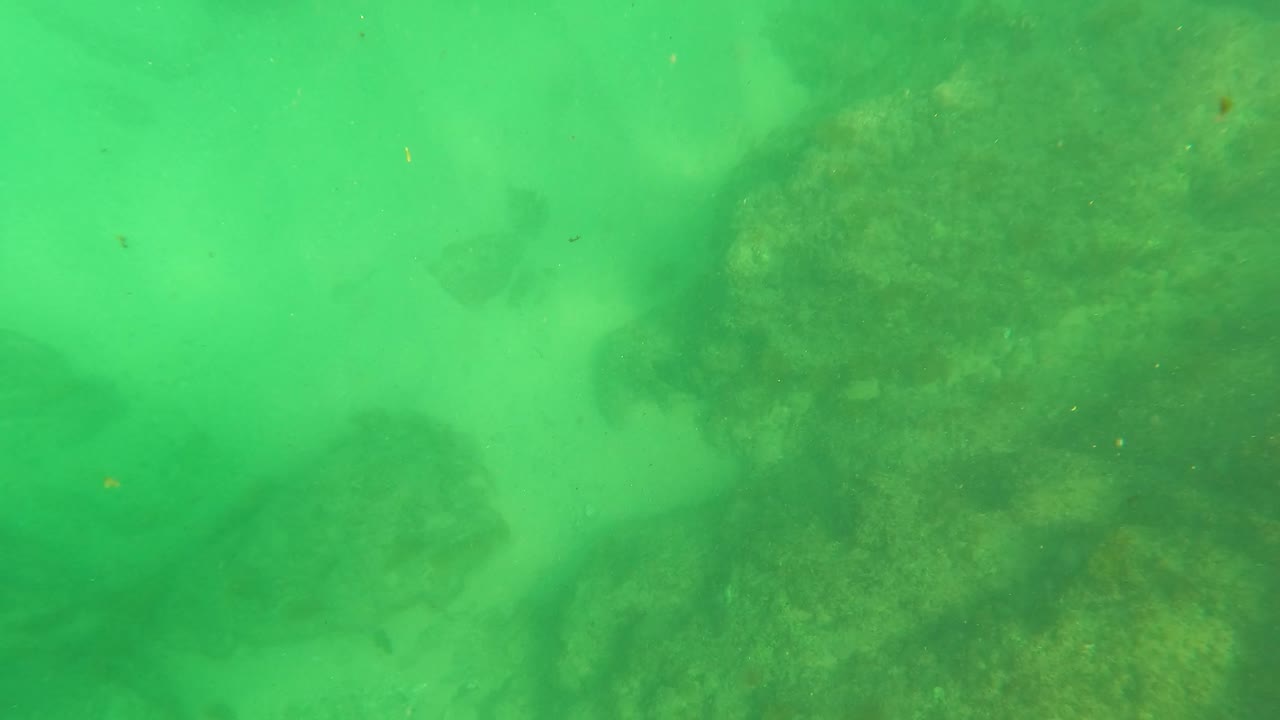 Rocky seabed in San Jose Del Cabo appears through green water haze with soft light, scattered particles, and no visible people.