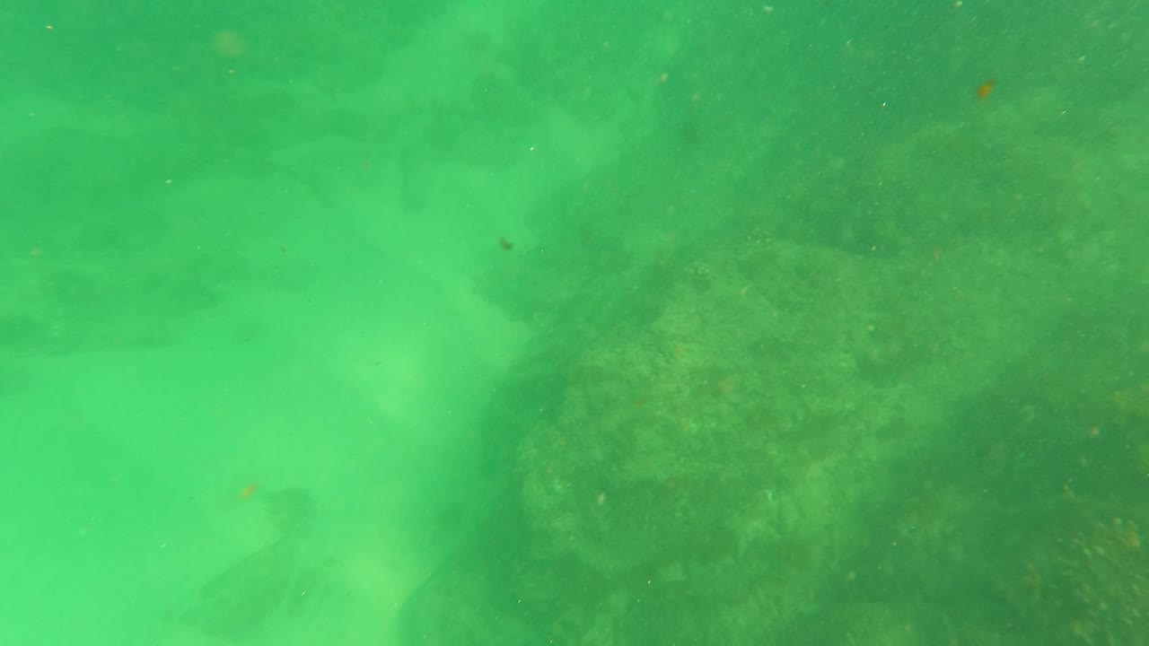Underwater rocks in San Jose Del Cabo surround a paler sandy patch, with green water tint and no visible people.