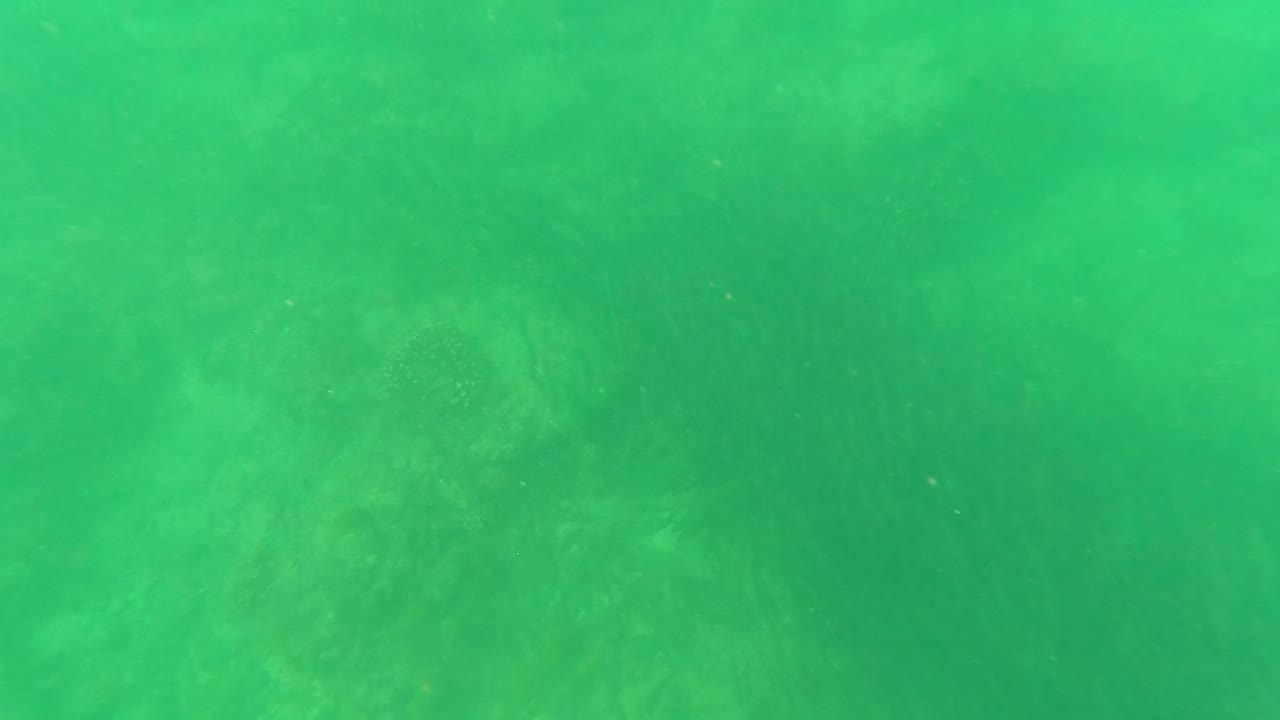 Greenish water above soft ocean floor texture