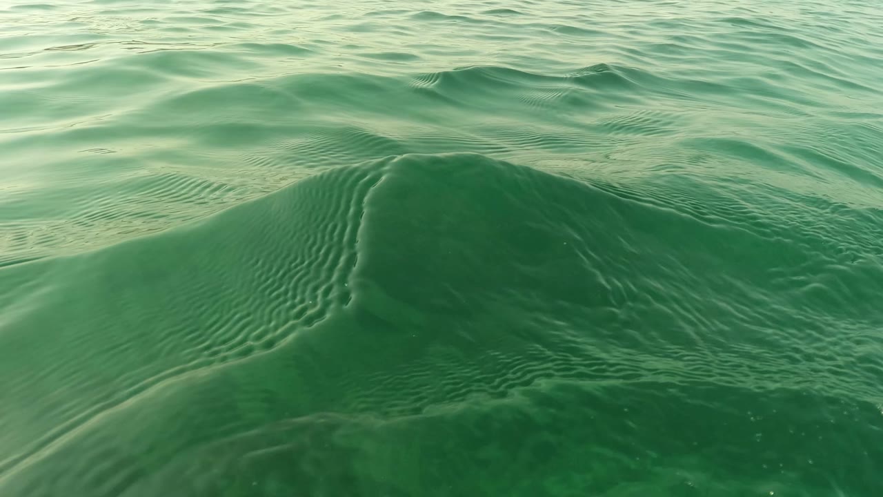 Green ocean surface in San Jose del Cabo with a rounded swell and fine ripples across the water, no visible people.