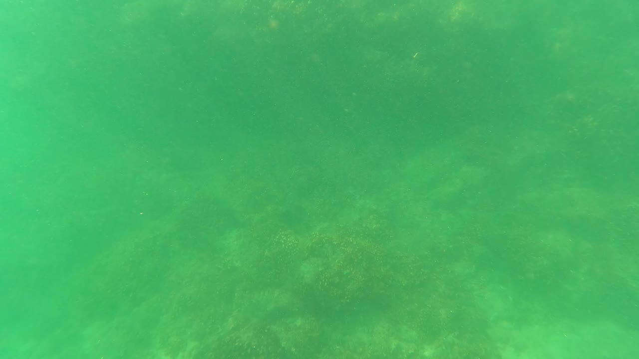 Underwater San Jose del Cabo view with murky green water, subdued rock shapes across the seabed, and no visible people.