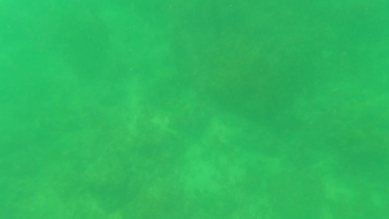 Clear green water in San Jose Del Cabo, Baja California Sur, with a pale, mottled seabed and no visible people.