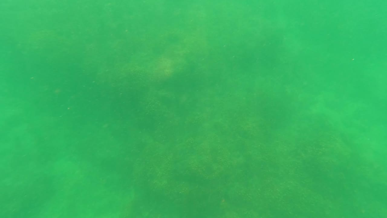 Green-tinted underwater frame from San Jose Del Cabo, Baja California Sur, showing hazy seabed patterns and sparse algal growth with no visible people.