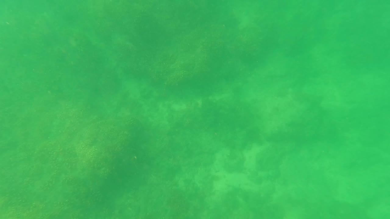 Greenish underwater frame in San Jose Del Cabo with faint seabed texture and no visible people.
