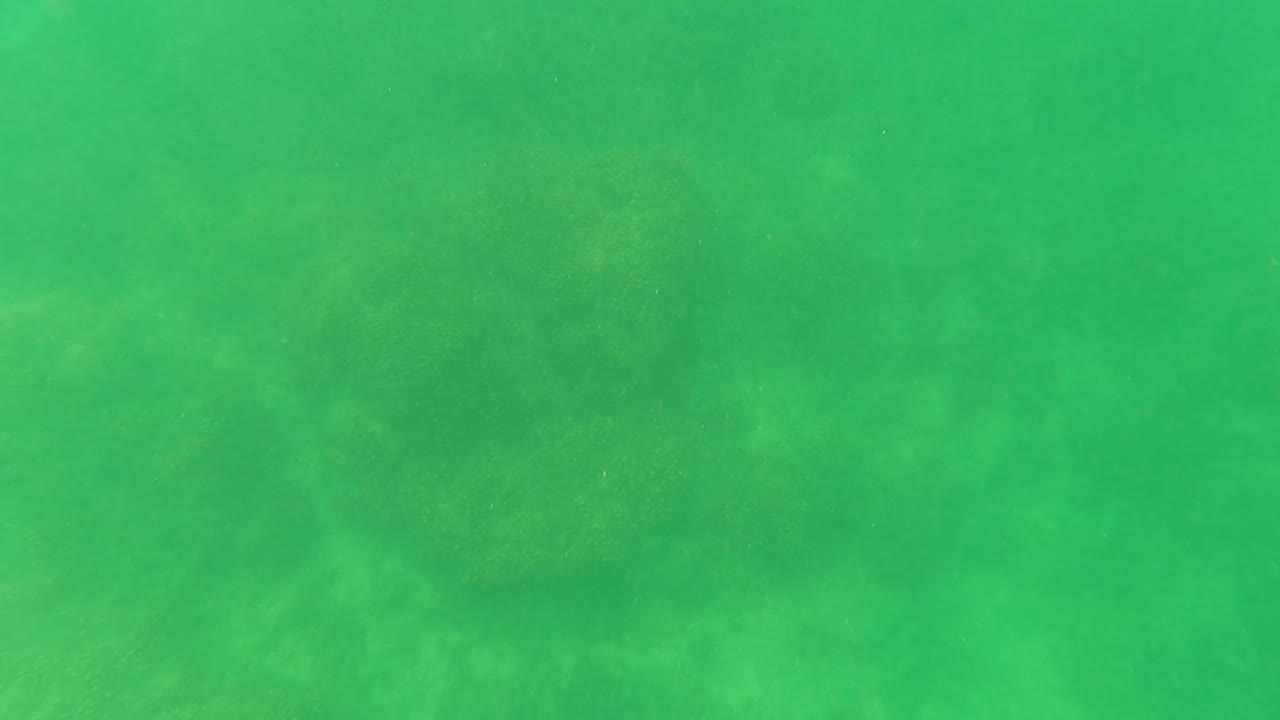 Hazy green underwater view in San Jose Del Cabo with uneven ocean floor shapes visible through the water and no visible people.
