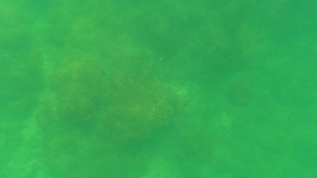 Opening underwater frame in San Jose del Cabo shows green water over a coral seabed with faint small fish and no visible people.