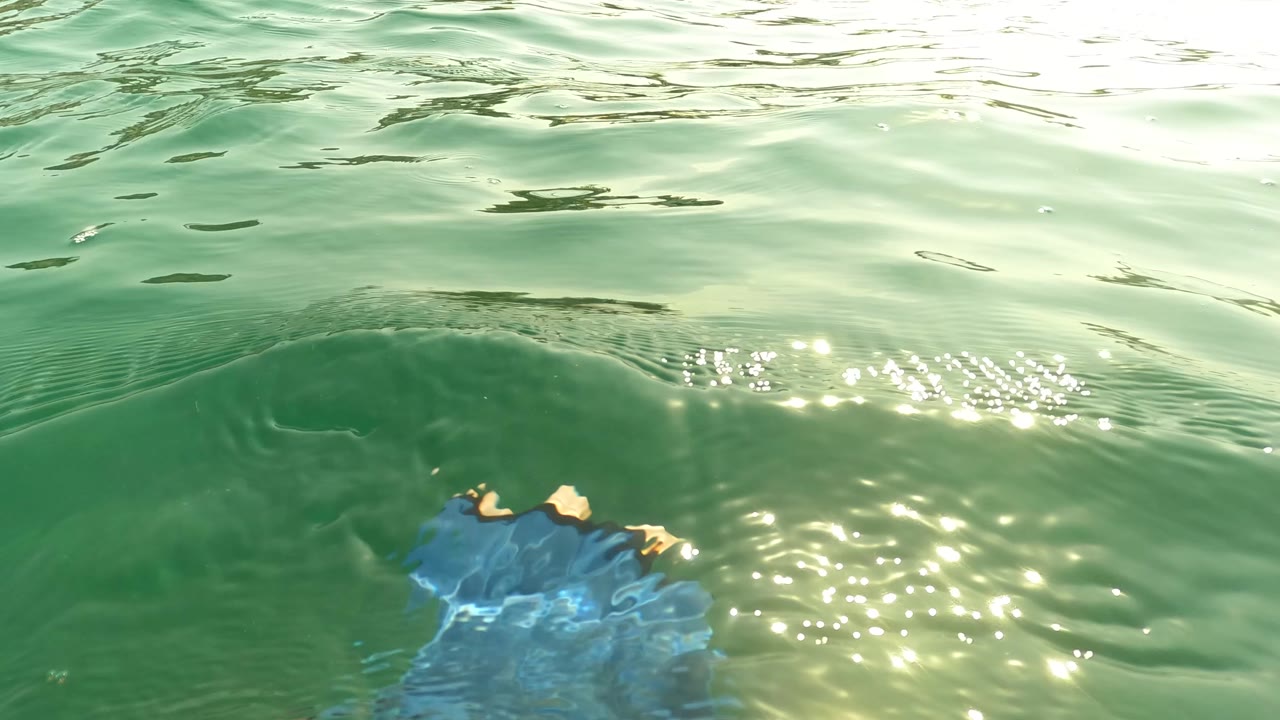 Water-level frame in San Jose Del Cabo, Mexico, with sunlit ripples across green water and part of a swimmer's arm or hand entering the lower edge.