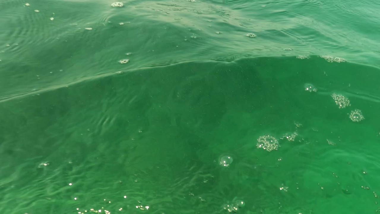 Green water surface with ripples, bubbles, and submerged rocks below