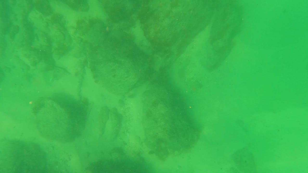 At San Jose Del Cabo, the camera view is fully underwater with pale sand and darker rock shapes visible through clear green water, with no visible people.