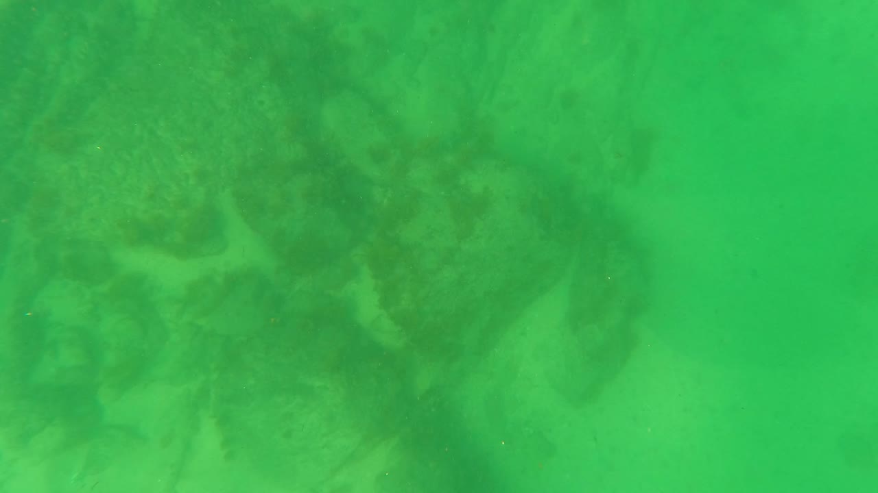 At San Jose Del Cabo, bright green water covers a rocky seabed with soft, uneven shapes in the background and no visible people.