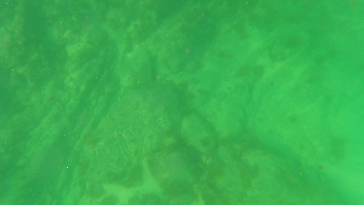 At San Jose Del Cabo, the frame looks downward into green water where rocks and sandy seabed fill the view, with no visible people.