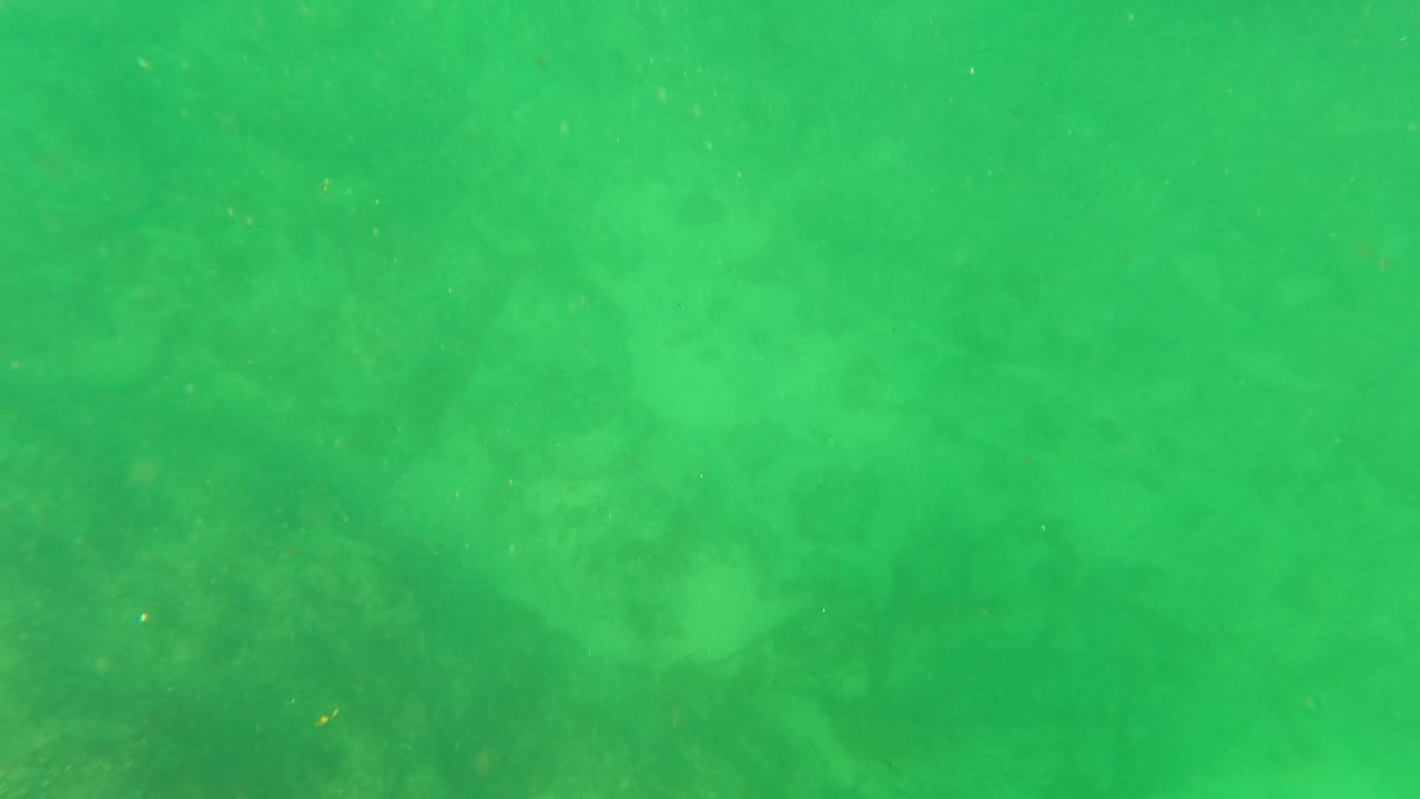 Murky green underwater frame from San Jose del Cabo with a faint sandy bottom, suspended particles, and no visible people.