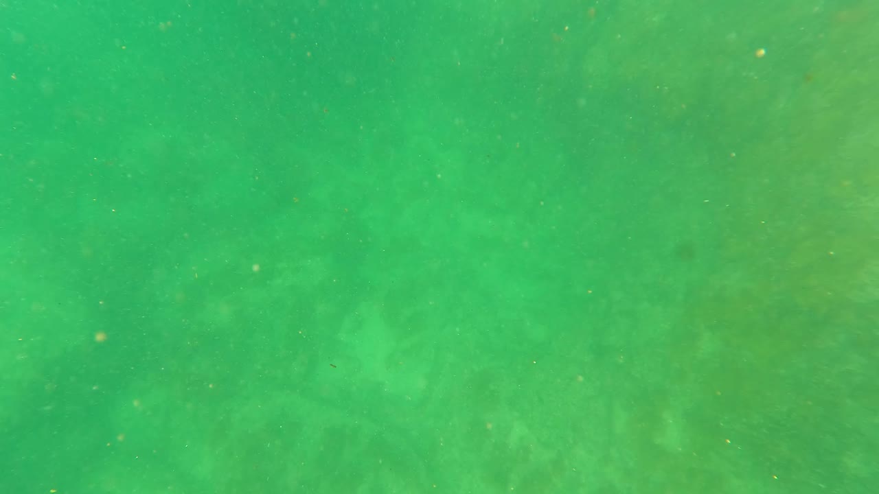 Green-tinted underwater frame from San Jose Del Cabo showing suspended particles over a faint sandy and algae-covered seabed, with no visible people.