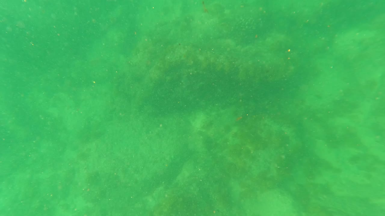 The San Jose Del Cabo underwater scene continues with soft green light, fine suspended particles, and mottled sand and marine growth, with no visible people.