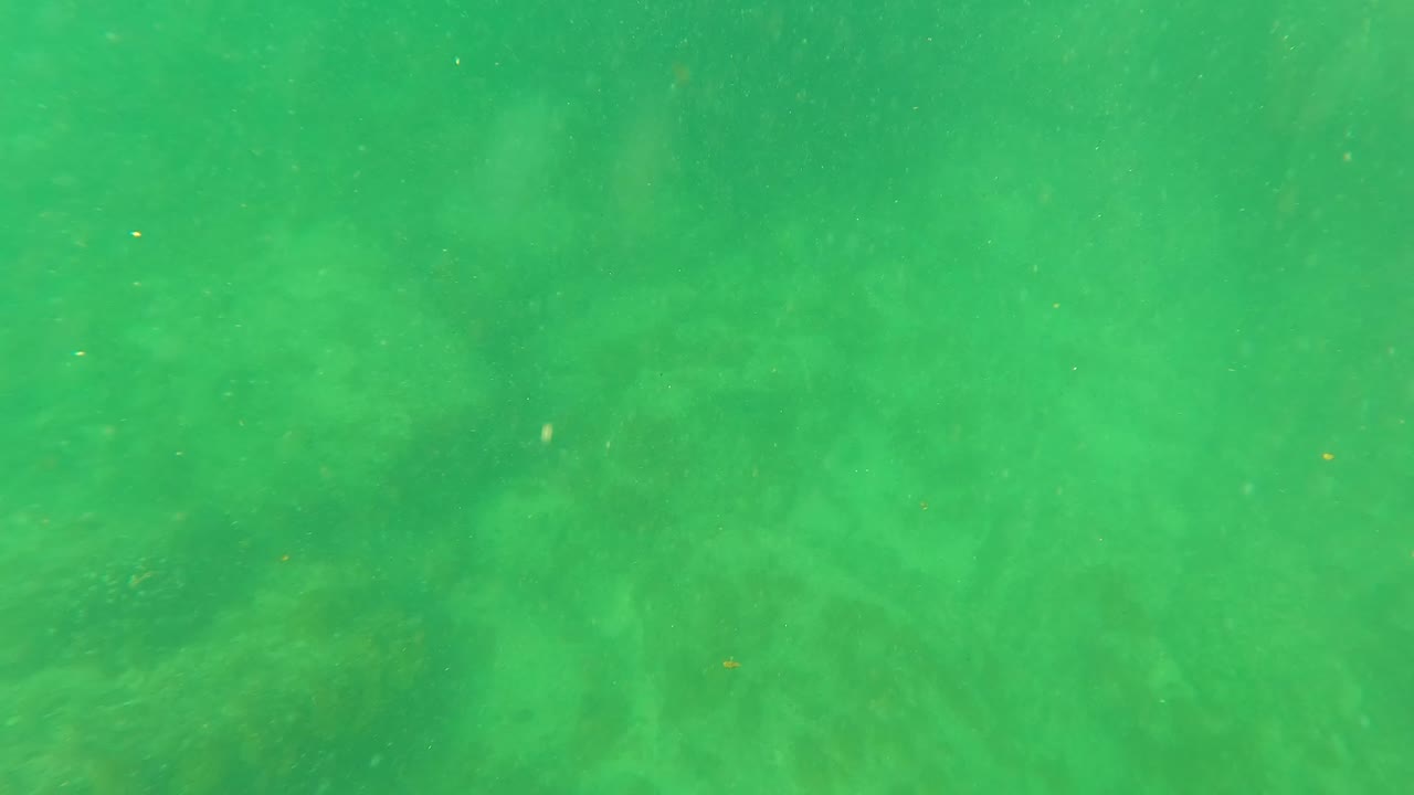 Shallow ocean floor seen through green water haze.