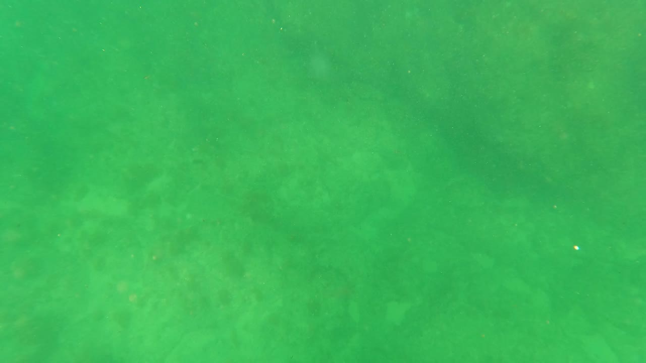Green underwater view over a rocky sandy seabed